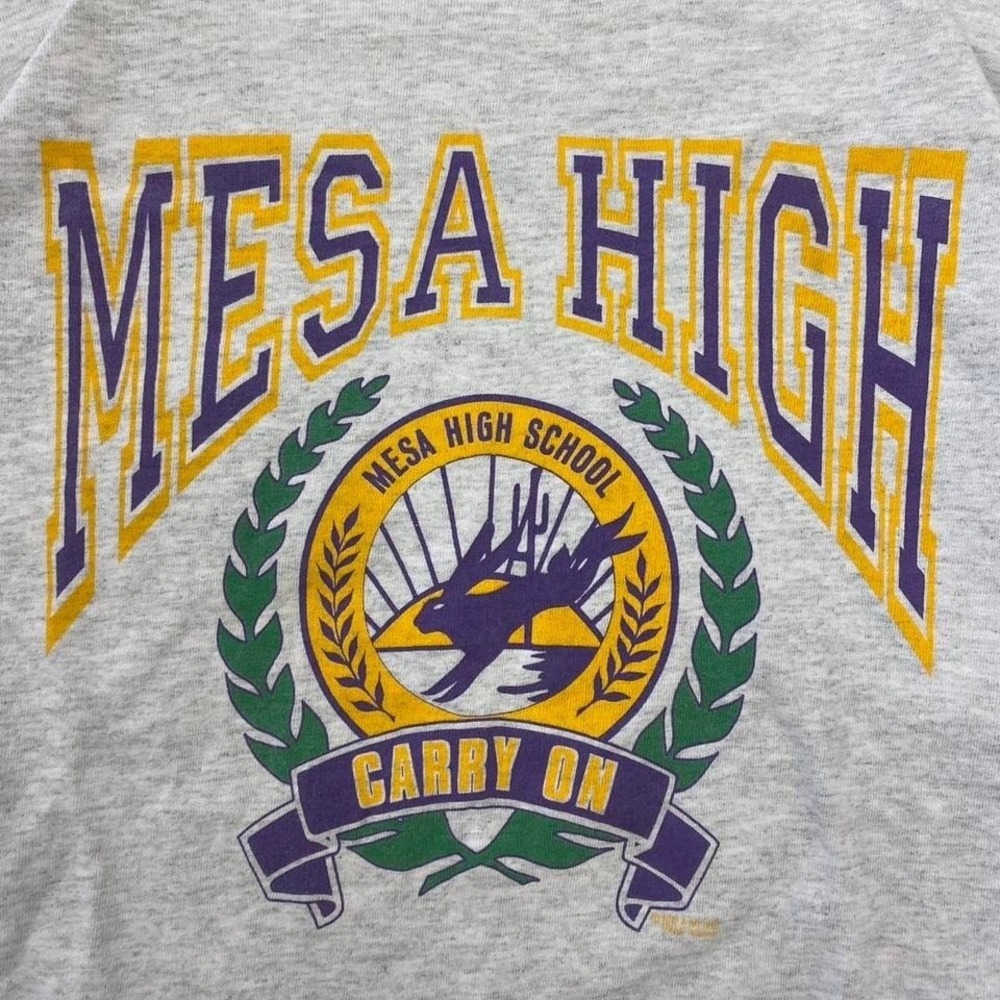Vintage 90s Mesa High School Jackrabbits Physical Education Arizona Shirt Size L - Picture 2 of 7